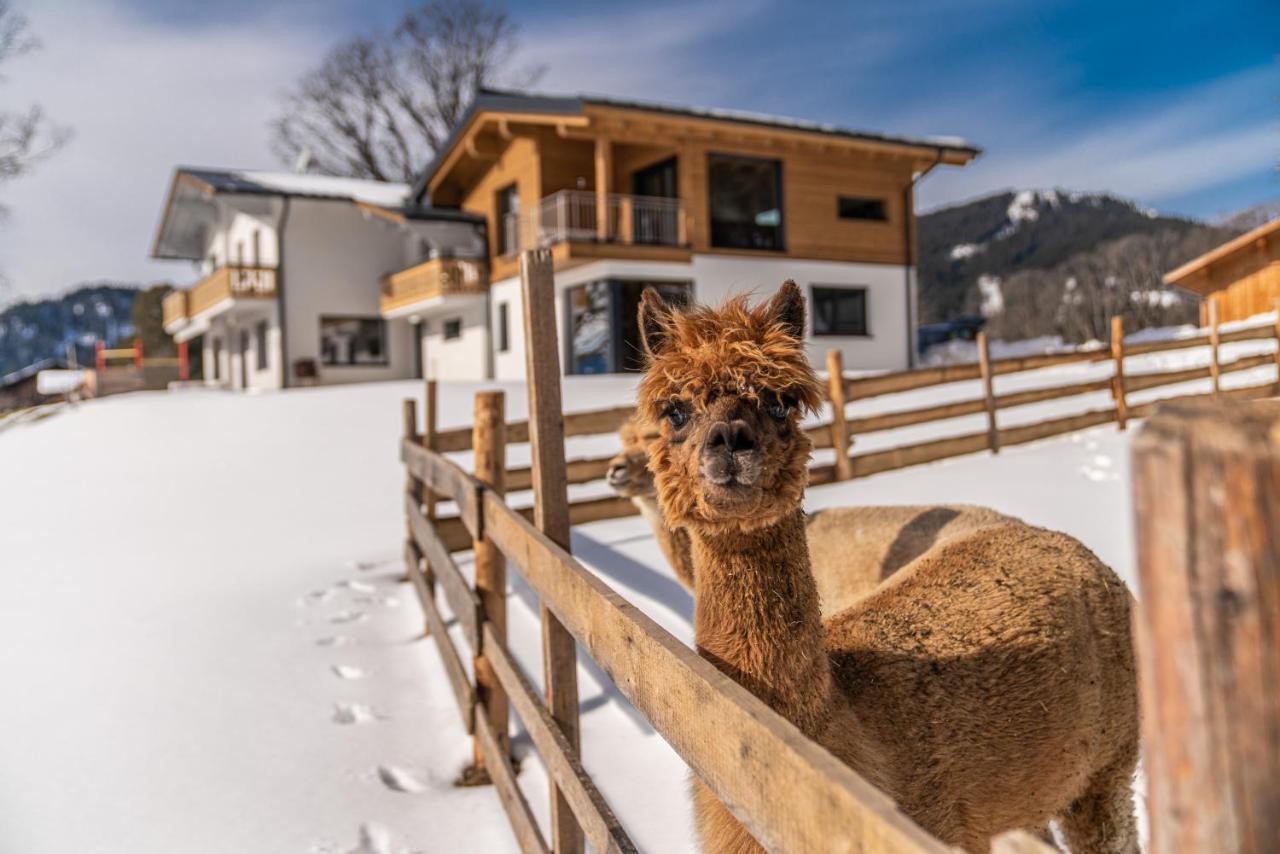 Appartement Ahorn Ramsau am Dachstein Exteriör bild