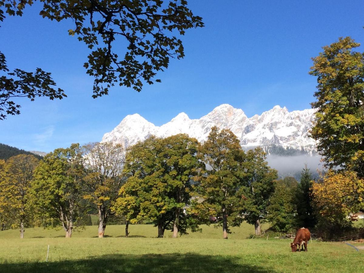 Appartement Ahorn Ramsau am Dachstein Exteriör bild